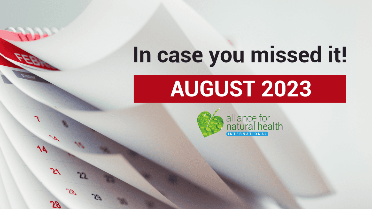 In case you missed it – August 2023 669a91a126eb9.png