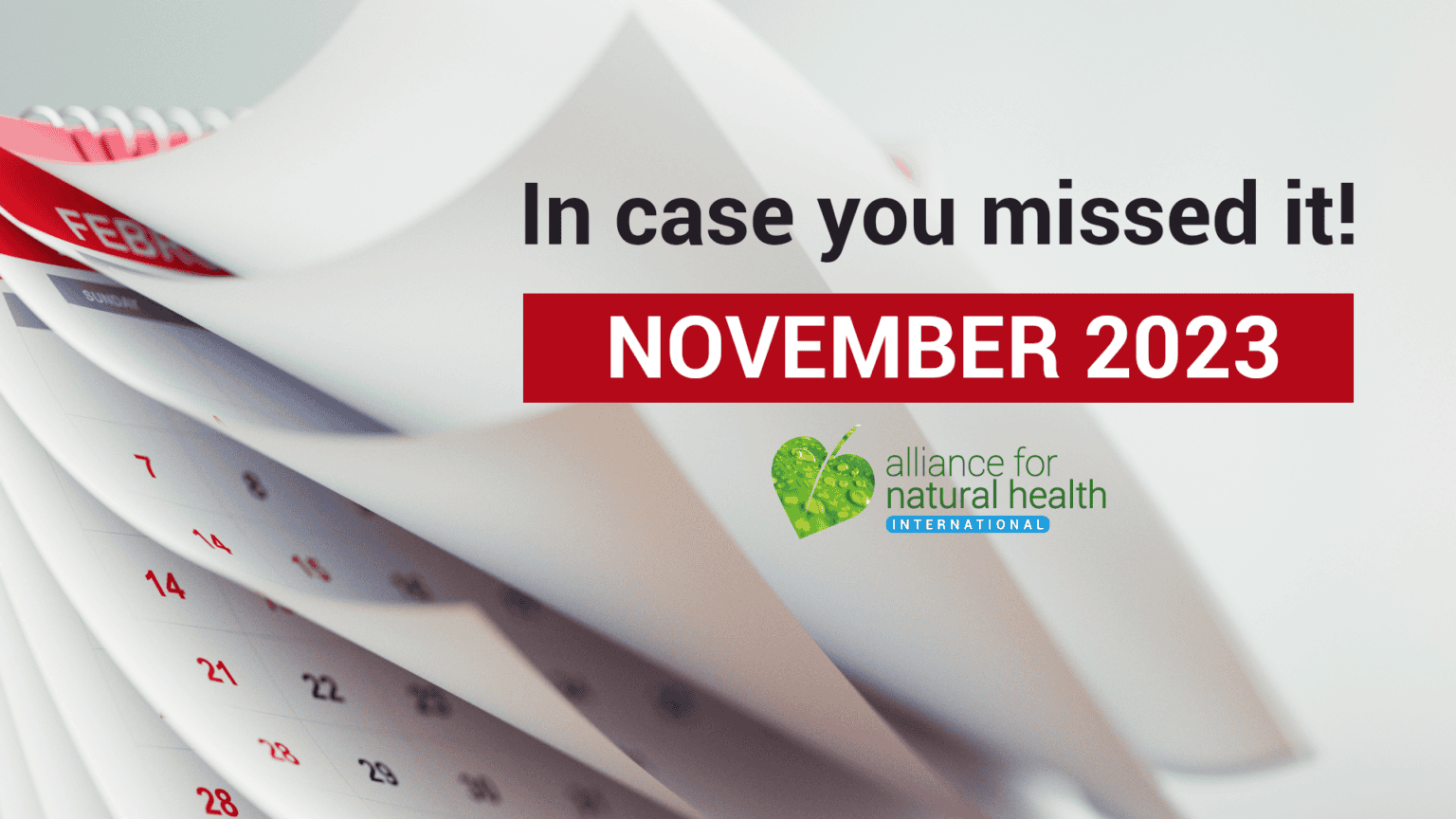 In case you missed it – November 2023 669a83f6a213d.png
