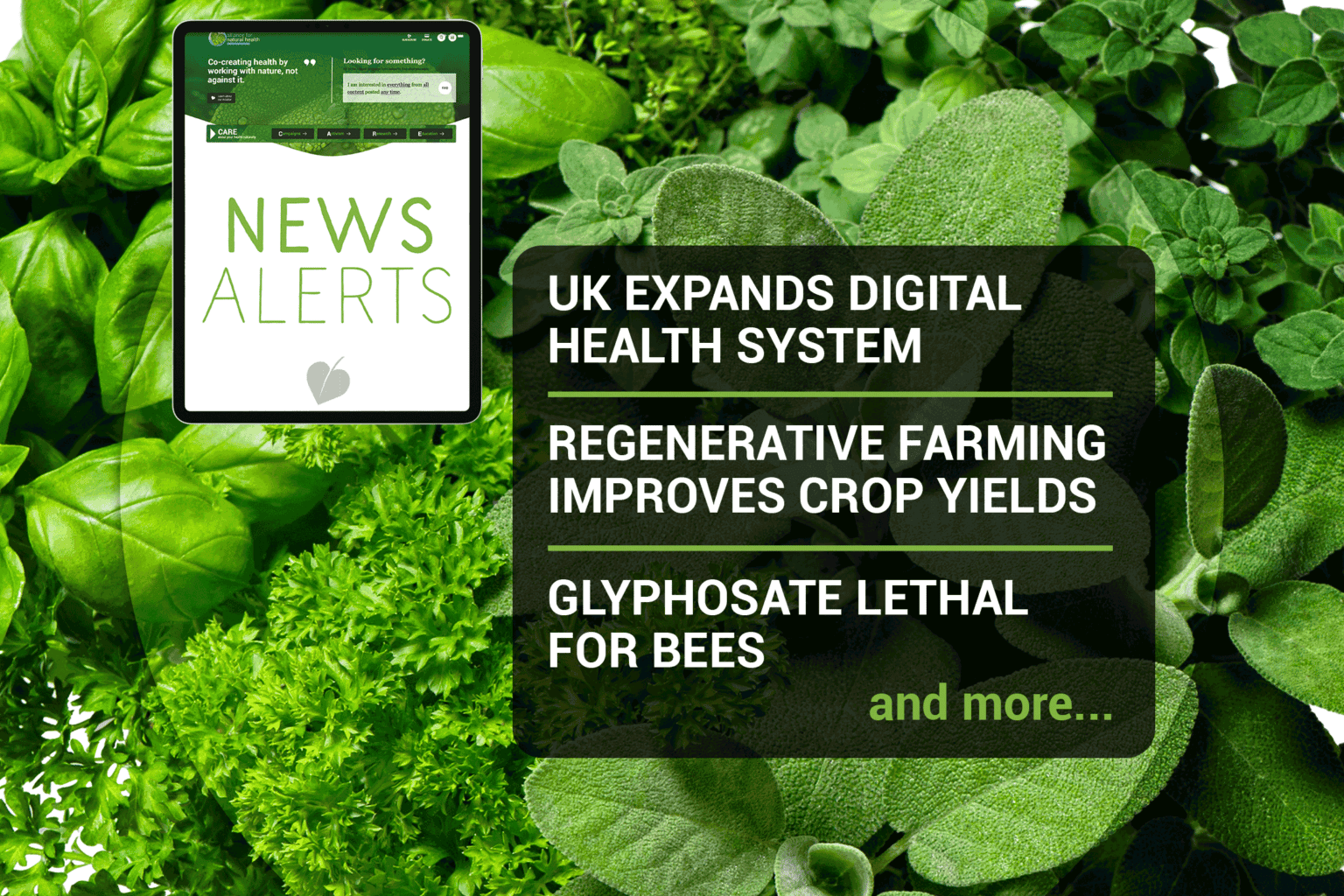 Natural News Roundup (week 26/2022) 669b5ca40b65c.png