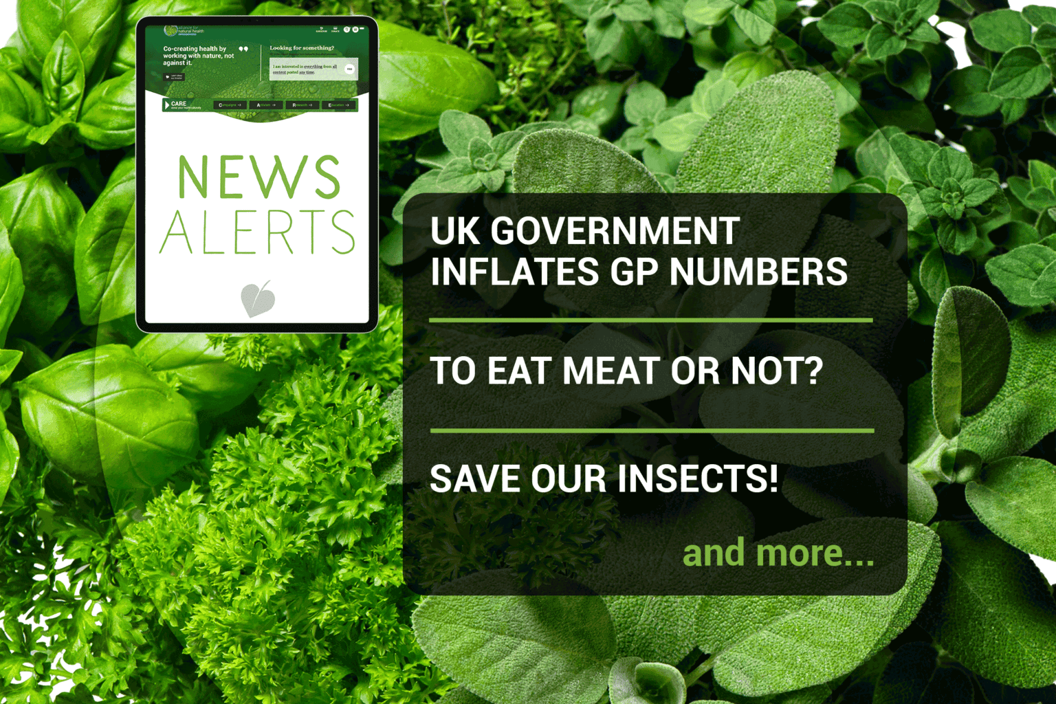 Natural News Roundup (week 44/2022) 669b0732c8553.png