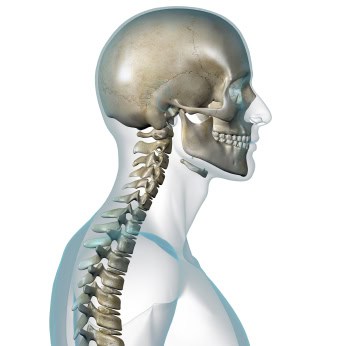 Osteoporosis drugs linked to oesophageal cancer and jaw tissue death 669bd7377c2d3.jpeg
