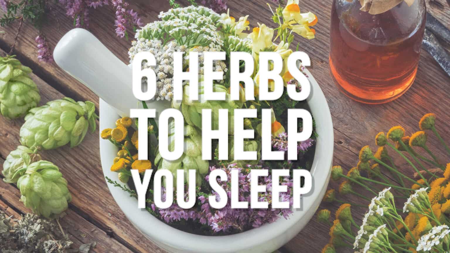 Six botanicals to transform your sleep 669b92c395a92.jpeg