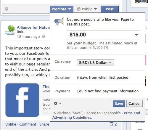 Facebook's Promoted Posts