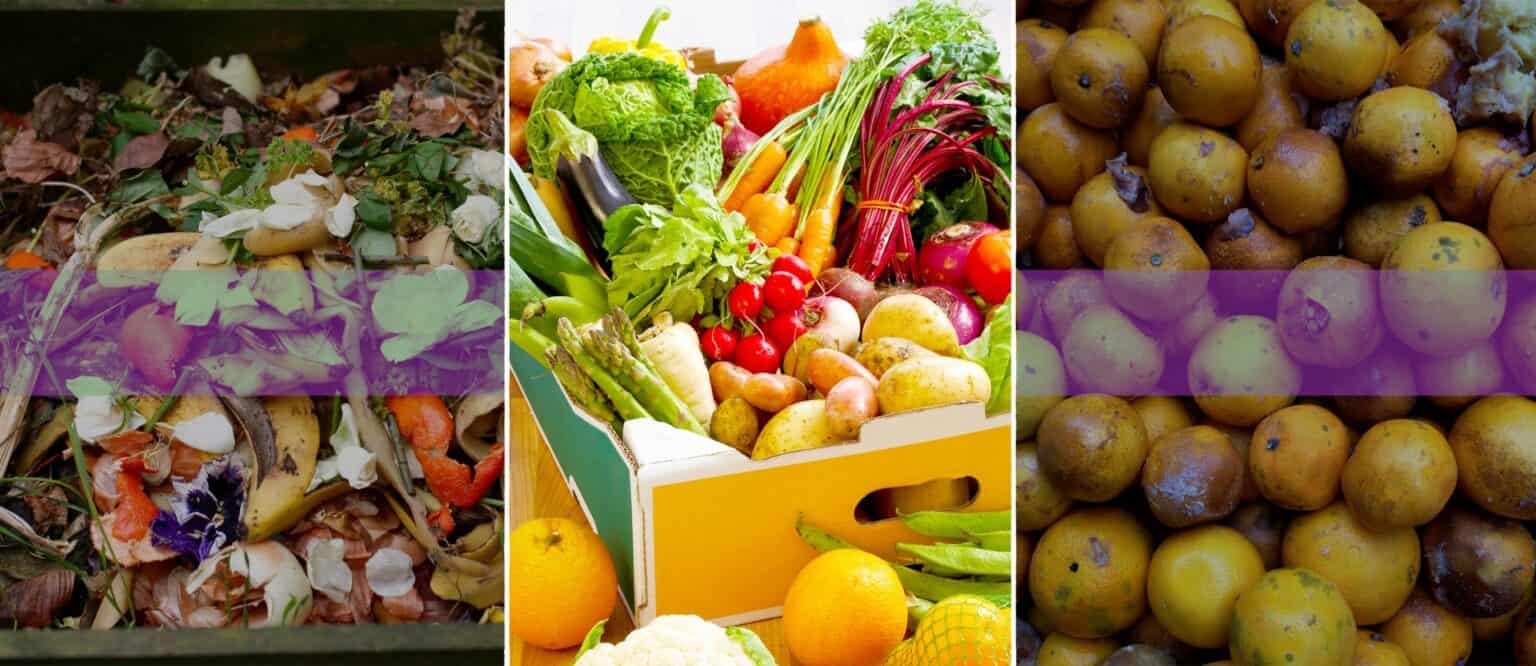 The economics of food waste and box schemes 669bb65e7ce80.jpeg
