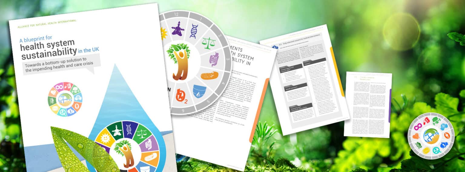 The Great Health Reset | 6 min overview 669a55fe8748a.jpeg