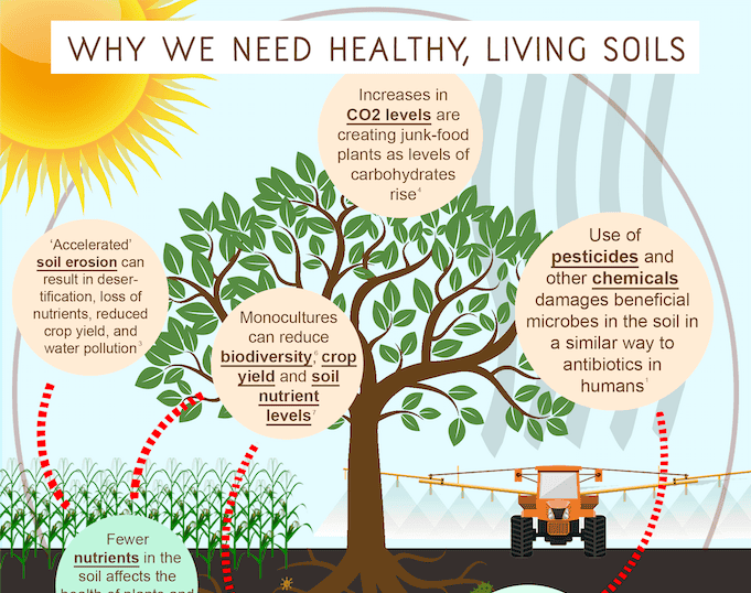 The soil of life – is in deep trouble 669ba1927b1c3.png