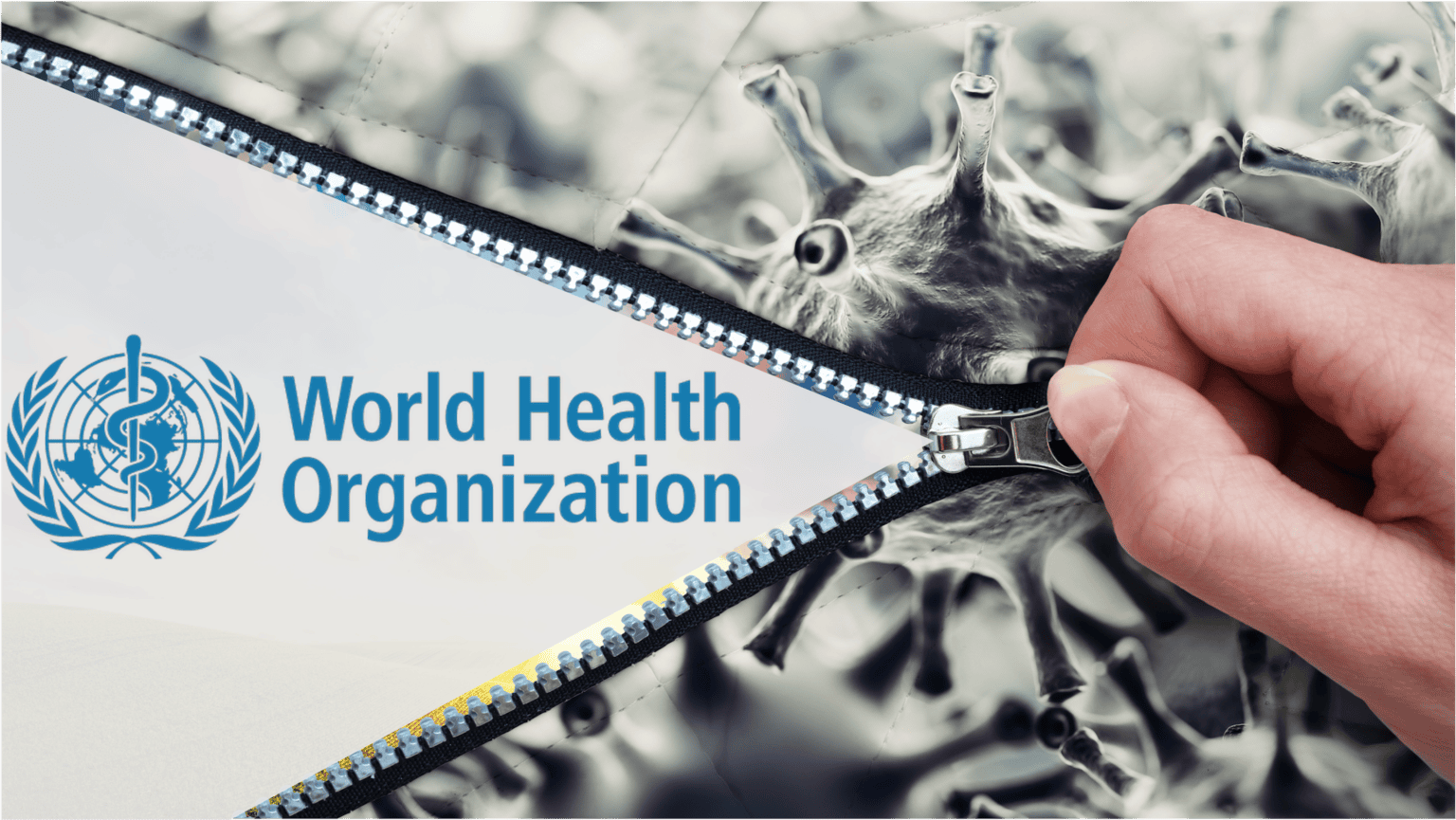 The WHO pandemic treaty: a backdoor to global governance? 669b683116150.png