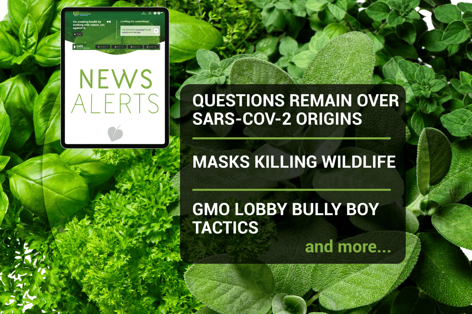 Weekly news update (week 13, 2021) 669b6cf010a38.png