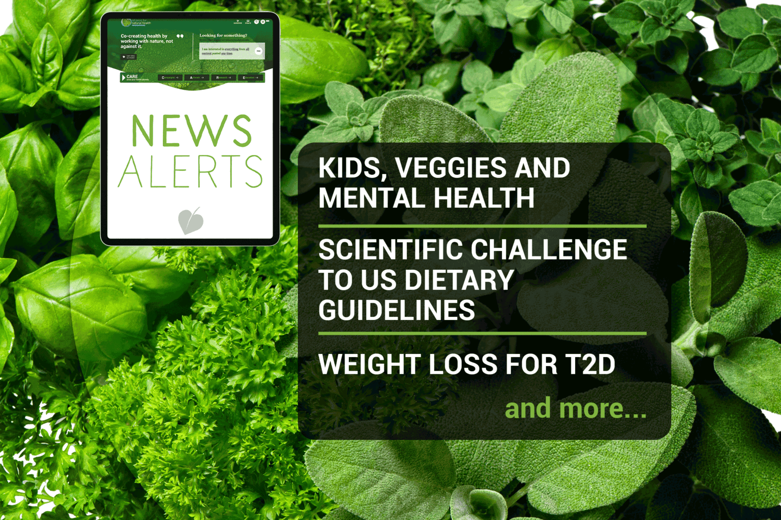 Weekly news update (week 40, 2021) 669b6a9f5a717.png