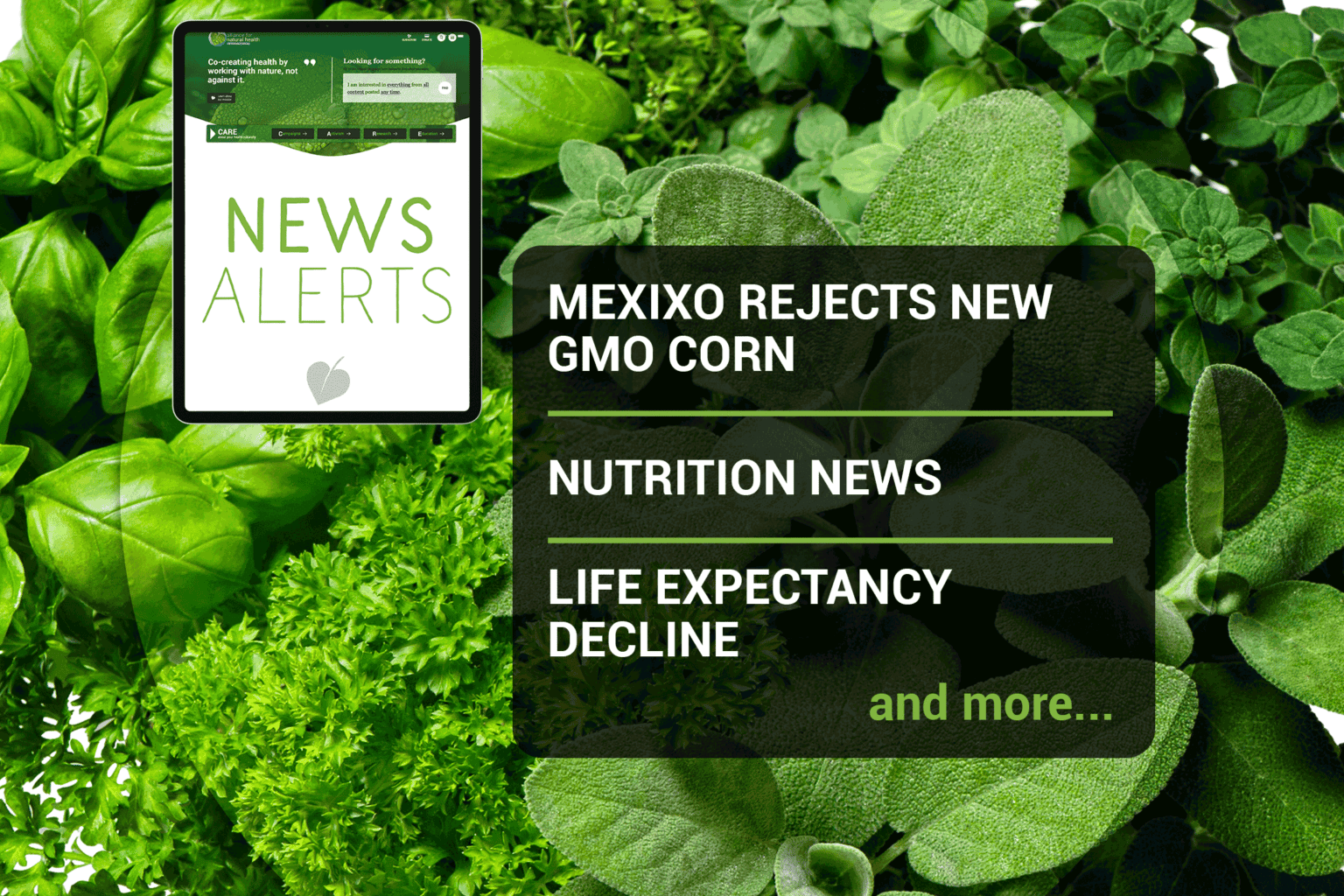 Weekly news update (week 42, 2021) 669b6a86a9372.png