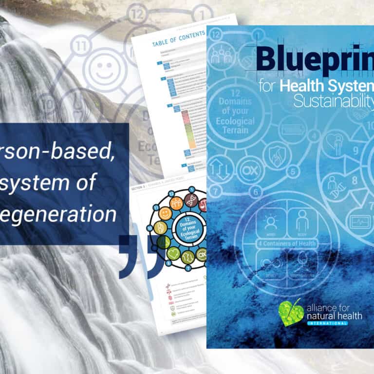 What’s in it for me in the ANH health blueprint? 669ba230e3949.jpeg