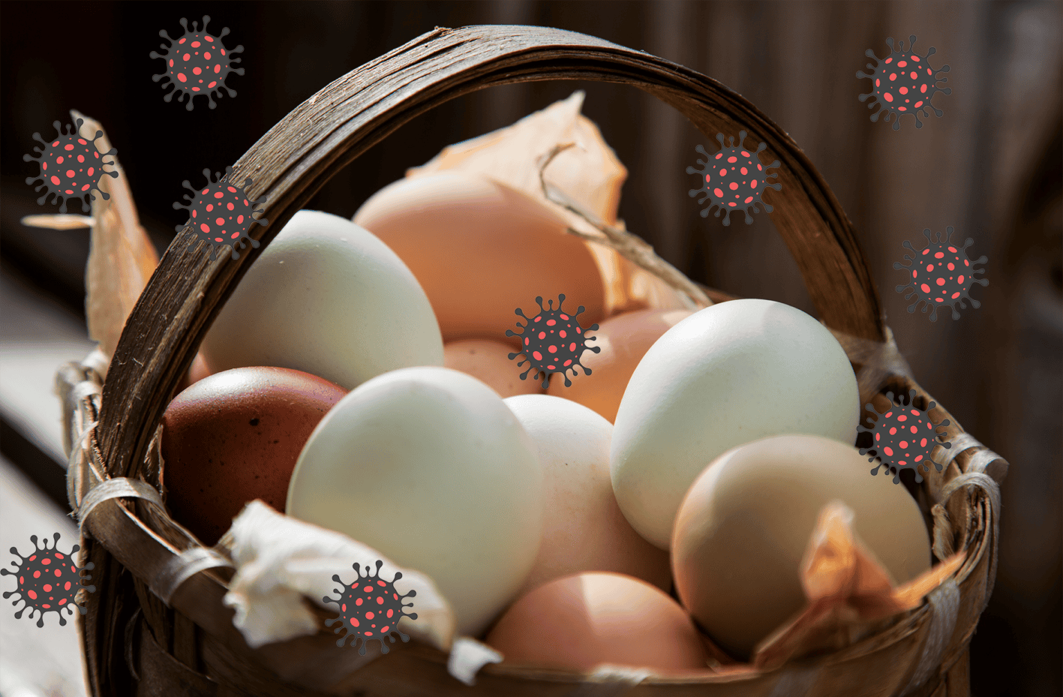 Why we need more eggs in the covid basket 669b6ccca5b2f.png