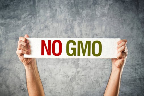 Why won’t Europeans swallow GMOs? 669bc039c2df8.jpeg