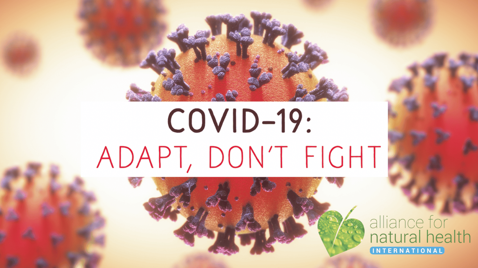 Adapt, Don’t Fight | Covid 19 67e55f5f57be4.png