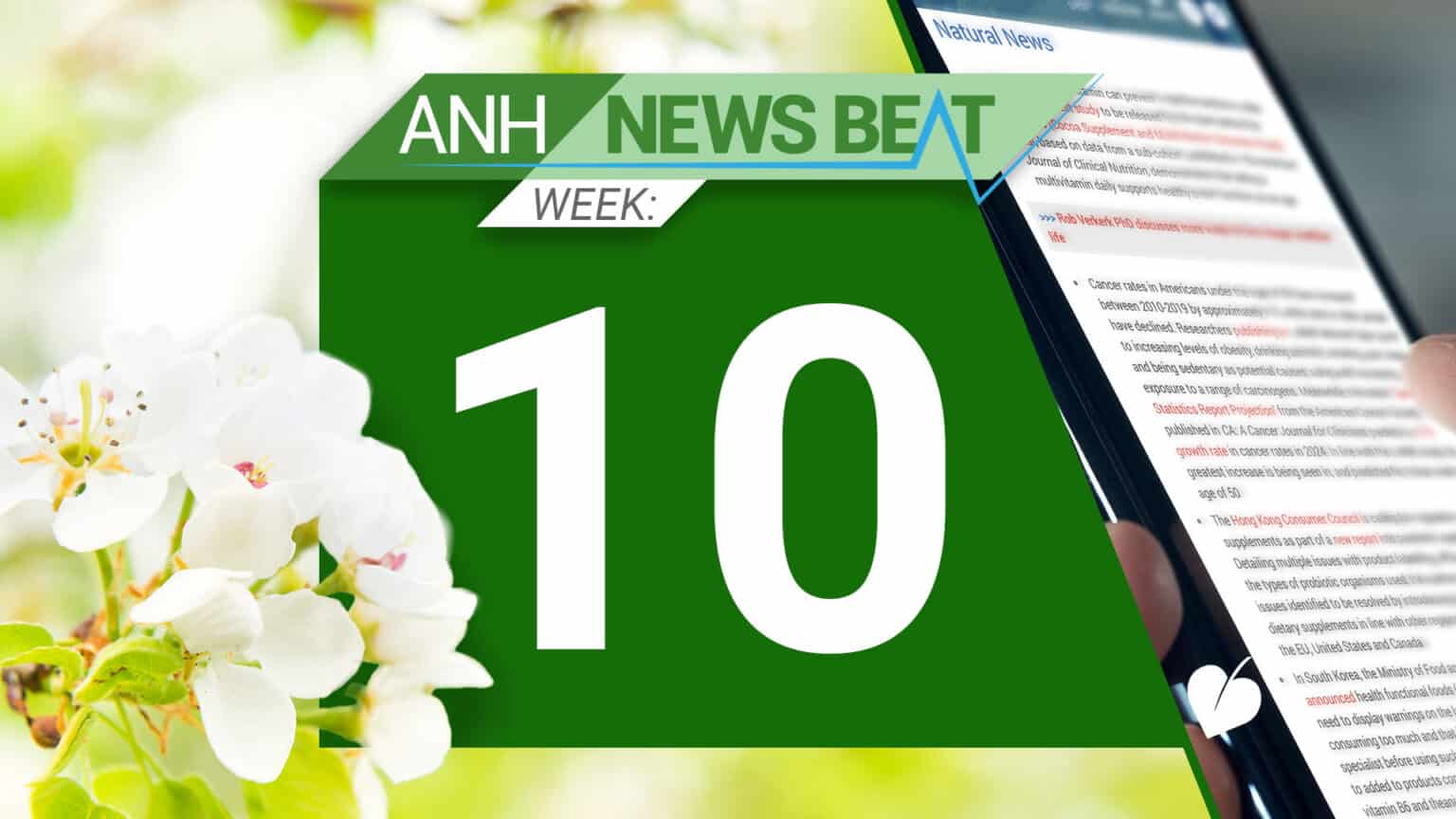ANH News Beat (week 10/2025) 67cf0f8fc96e0.jpeg