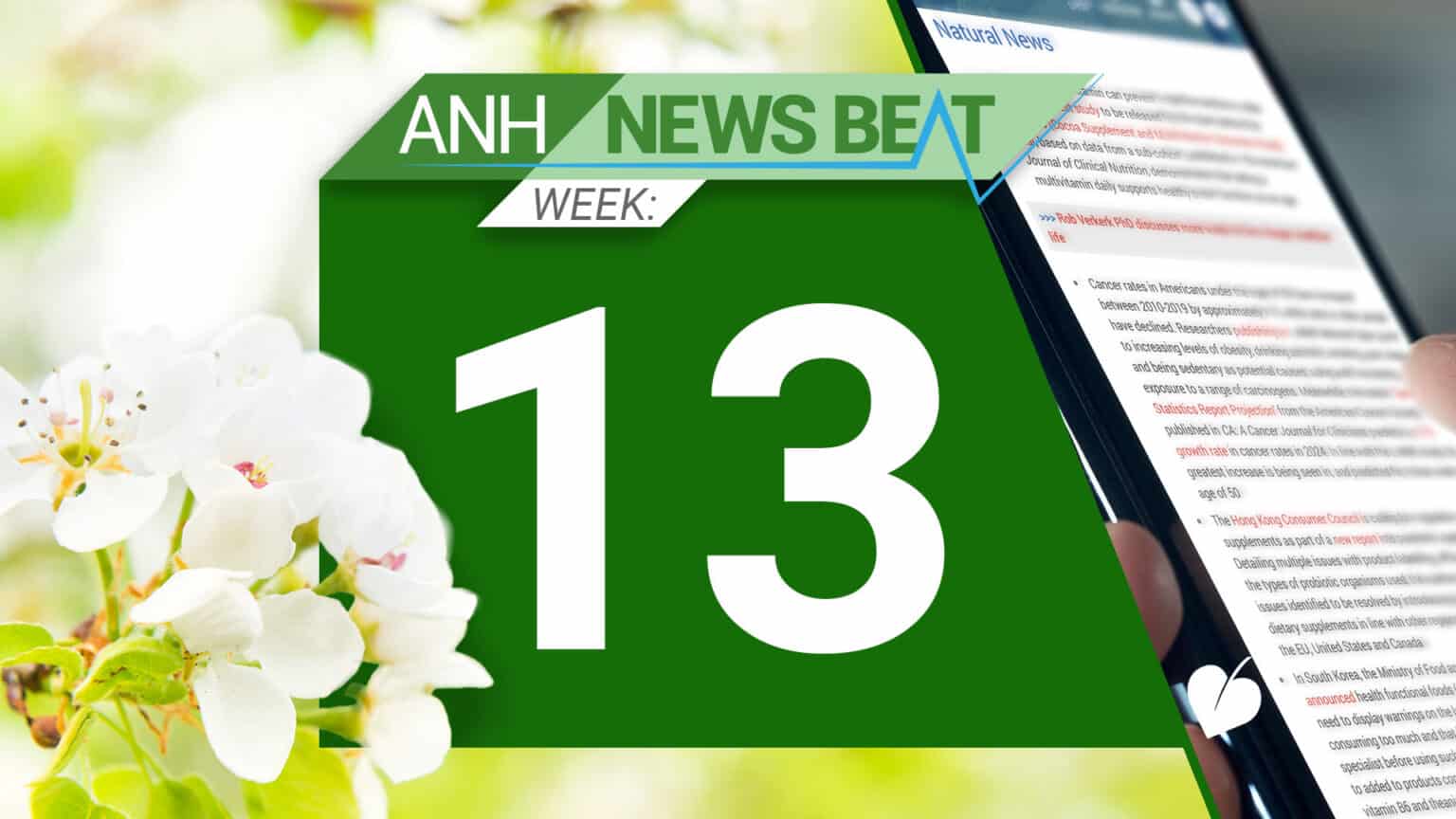 ANH News Beat (week 13/2025) 67eabf477d6c9.jpeg