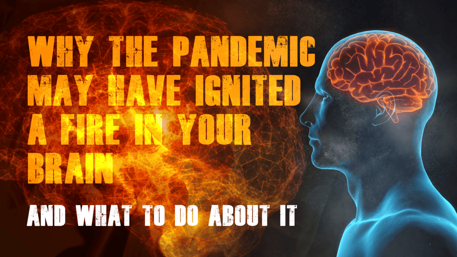 Protecting Our Brains – Because we only have one! 67e55f455465f.png