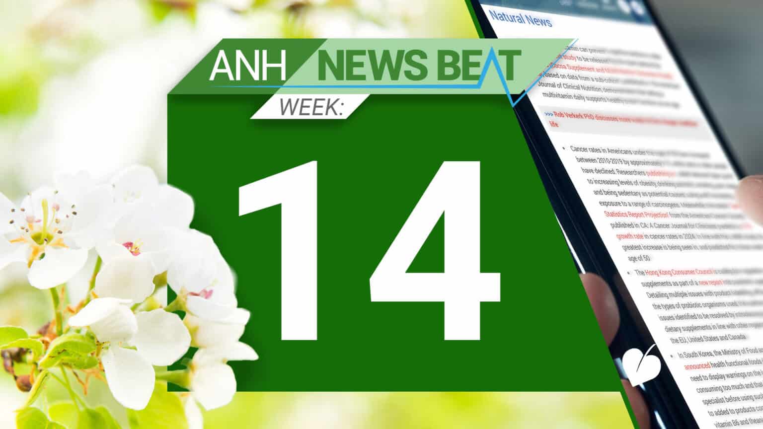 ANH News Beat (week 14/2025) 67f40734ce7f6.jpeg