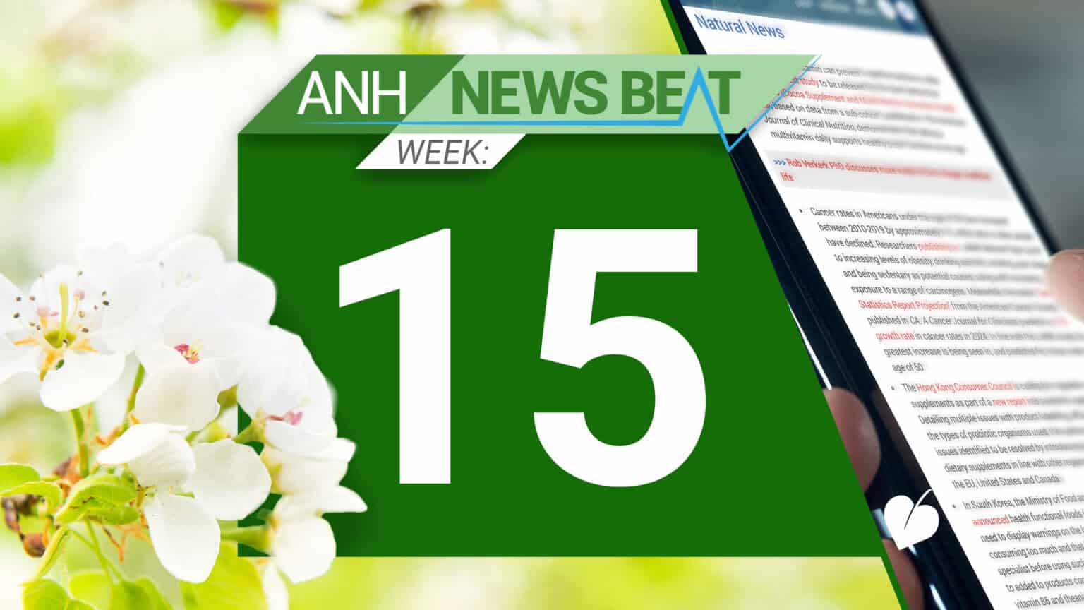 ANH News Beat (week 15/2025) 67fd37bc2b6a0.jpeg