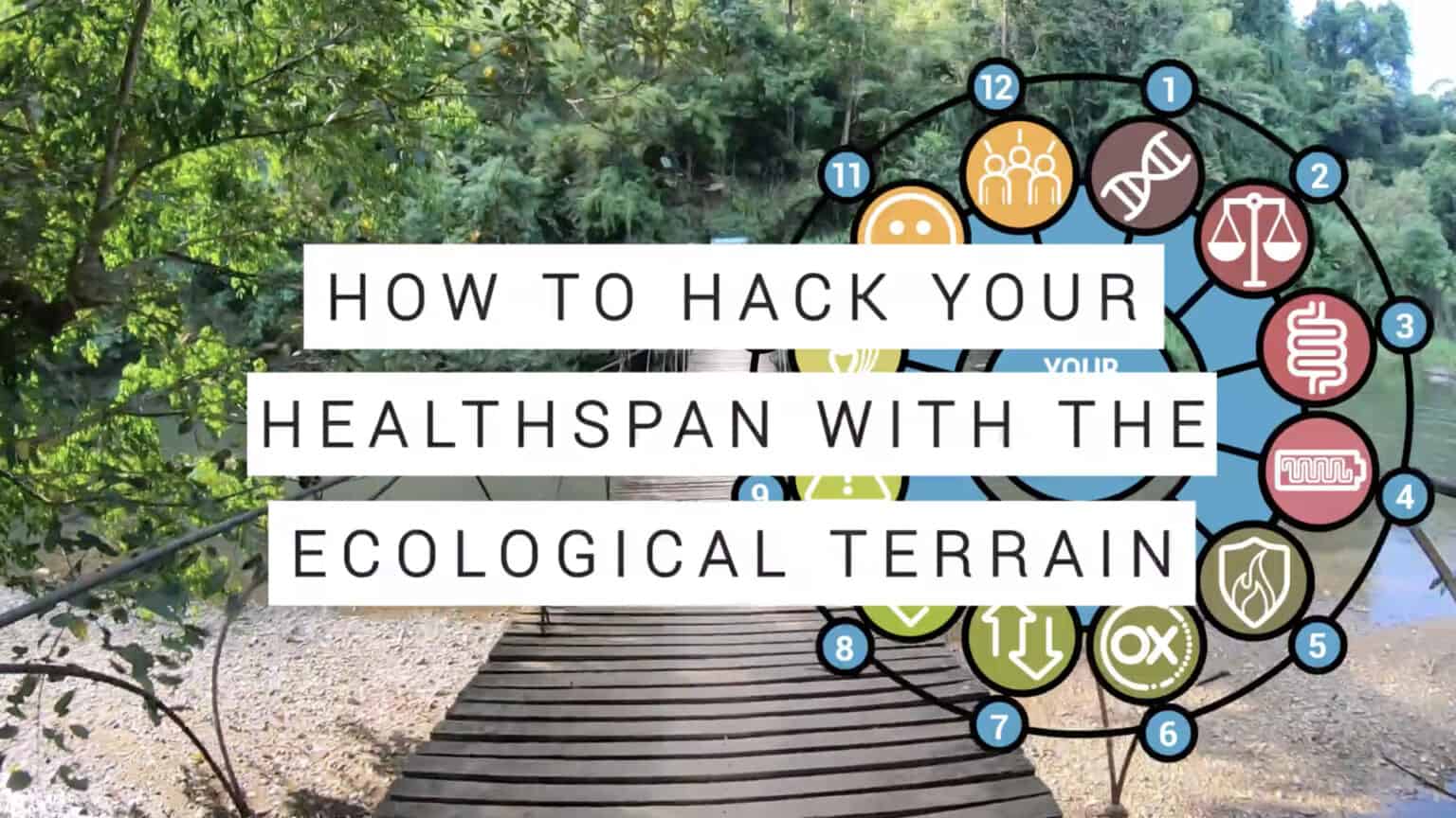 How to hack your lifespan with the Ecological Terrain 67f525b8a7463.jpeg
