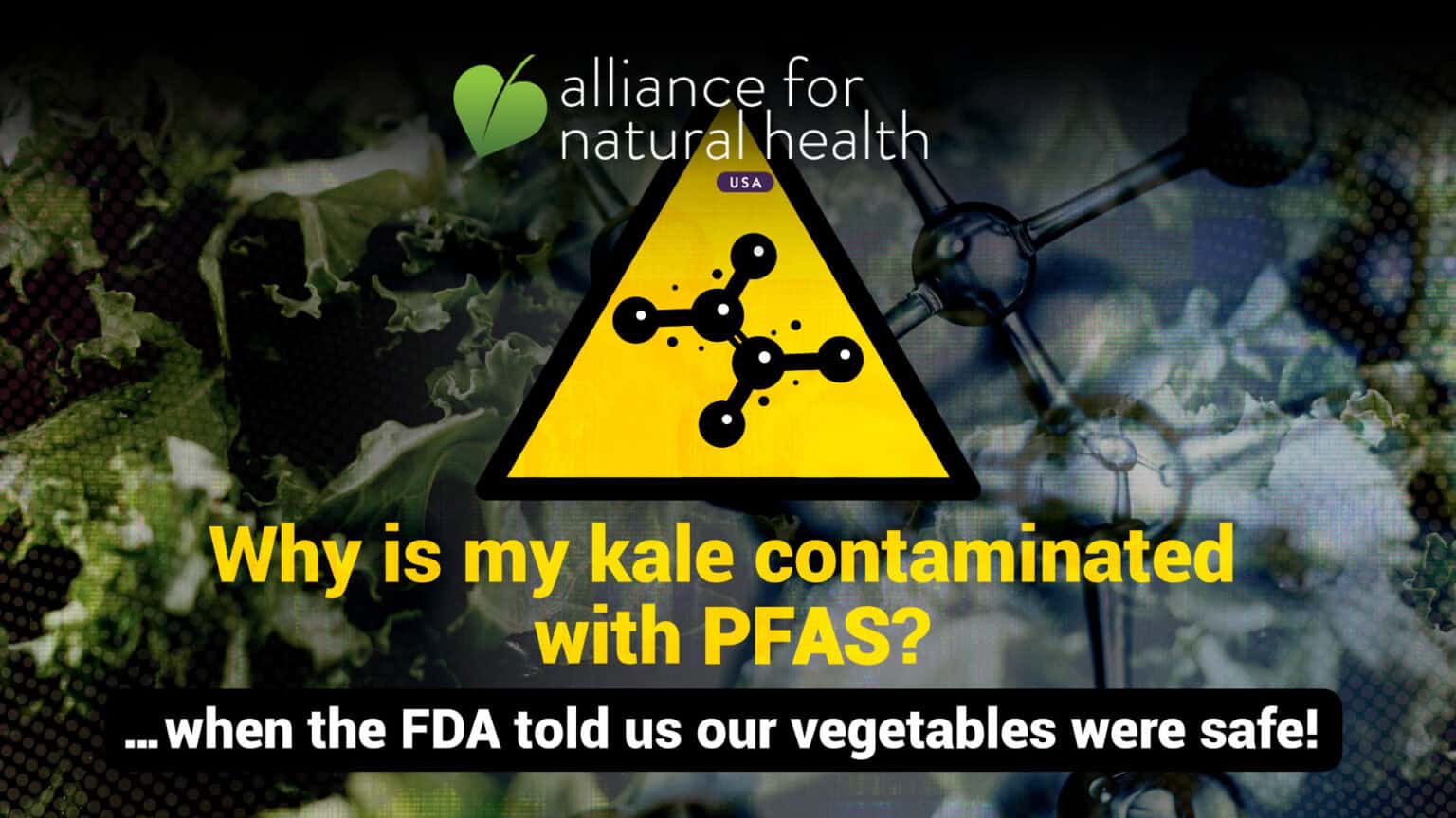 Why is there PFAS in my kale? 67f5249e77242.jpeg