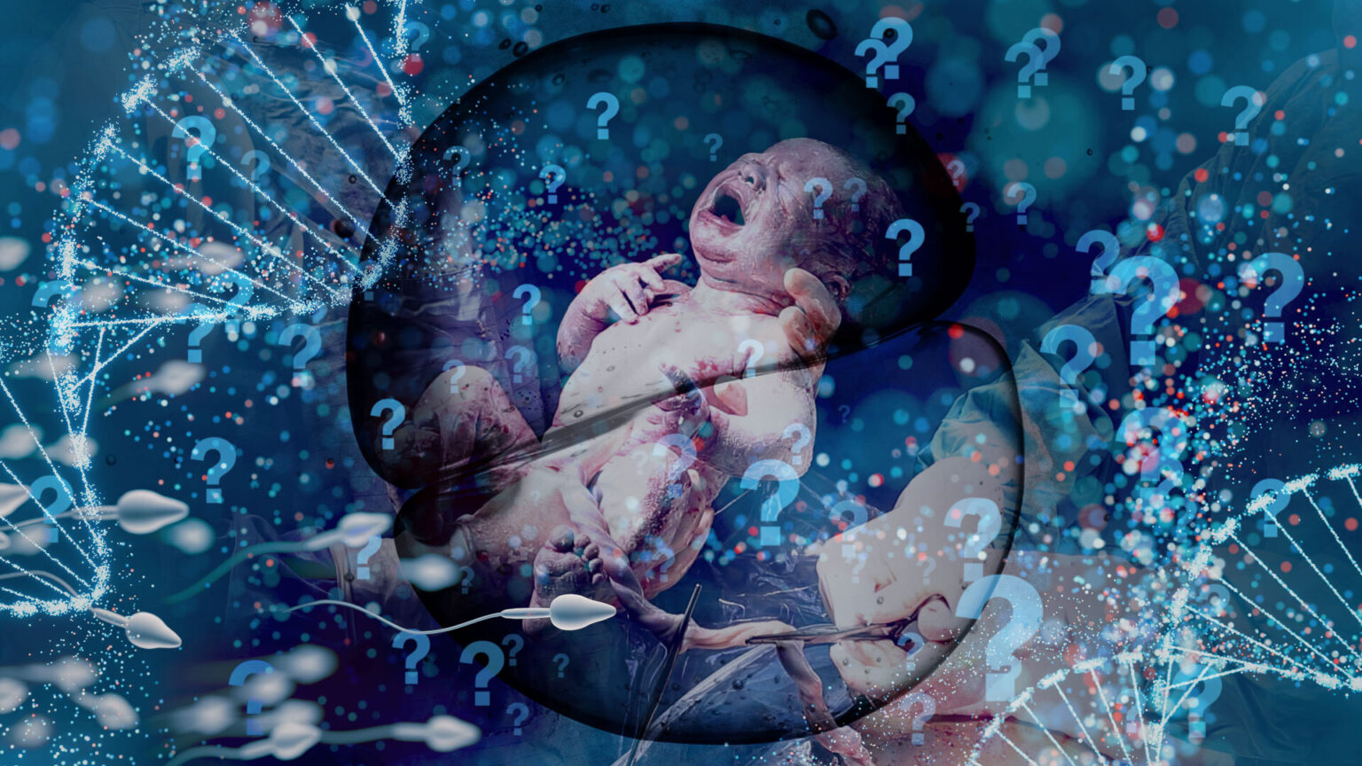 FEATURE: What is life? Energy, information, fields—and purpose without mysticism 69722f875d2dd.jpeg