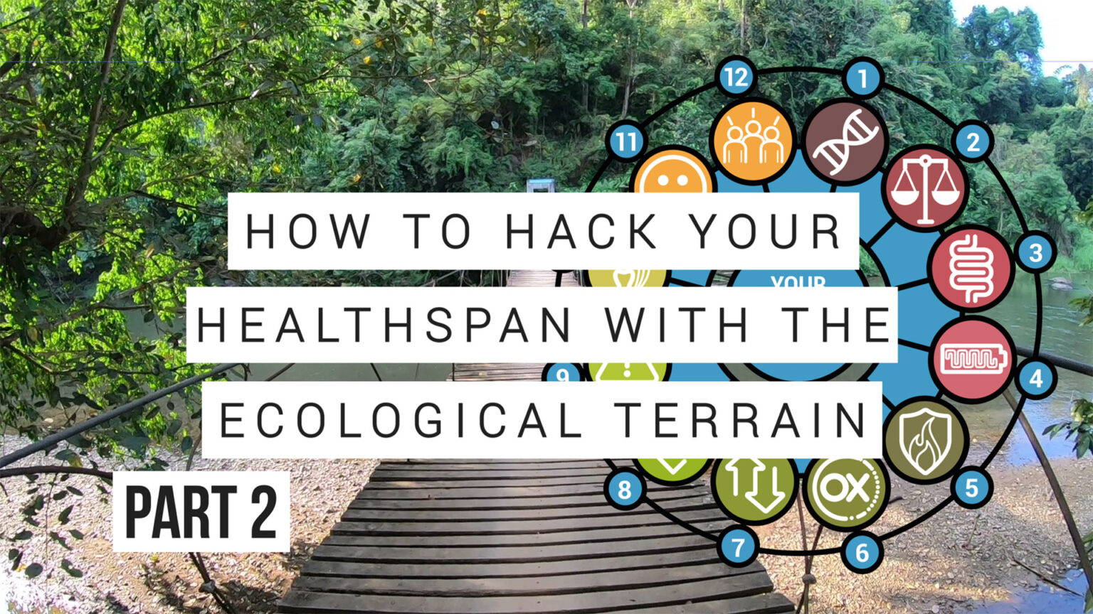 How to hack your lifespan with the Ecological Terrain Part 2 6972308991192.jpeg