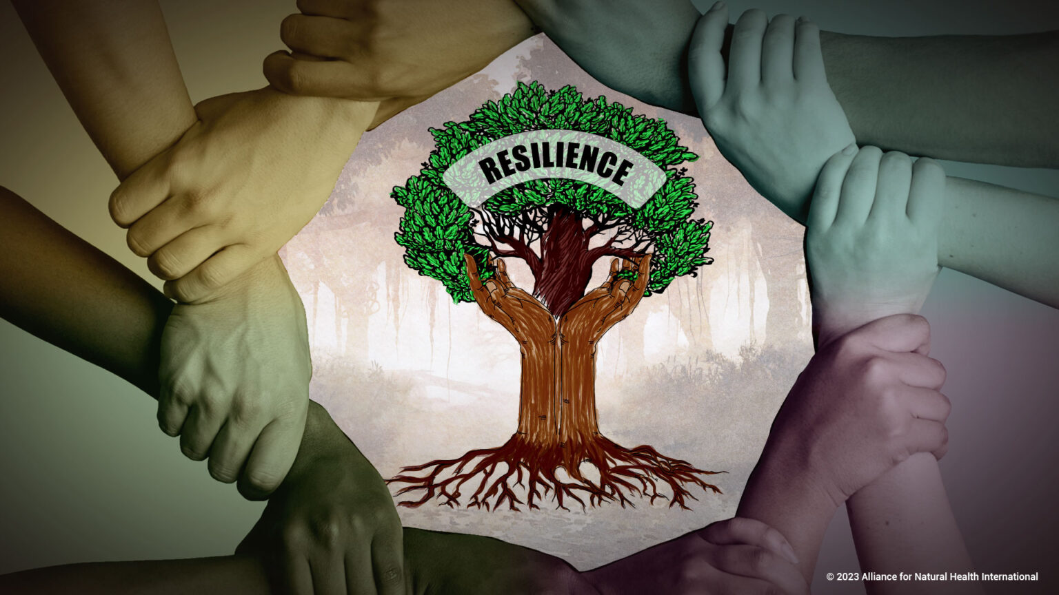 Resilience and the values crisis – critical time for reappraisal 69722ec77df3d.jpeg