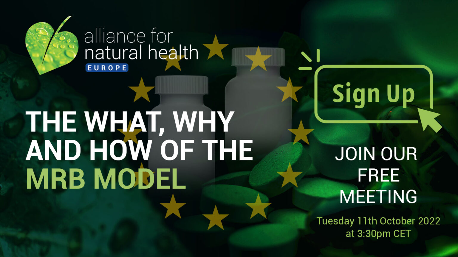 The What, Why and How of the MRB Model 69722f12ab593.jpeg