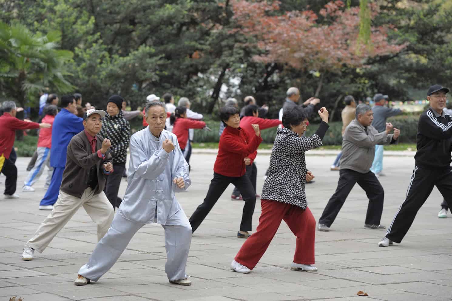 Tai Chi practice in park