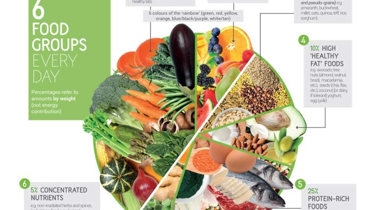 Food4health Adultplate Updated