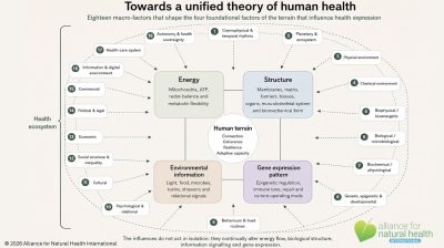 260512 Unified theory of health model