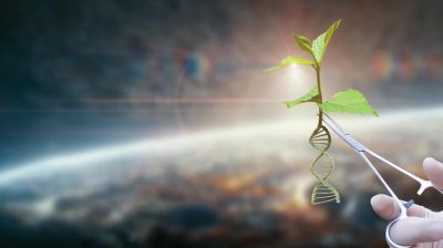 Advancements in genetic engineering of nature.
