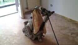 Passarella srl Milano