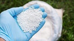 Carenza di Azoto nelle piante