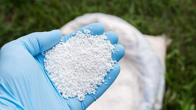 Carenza di Azoto nelle piante