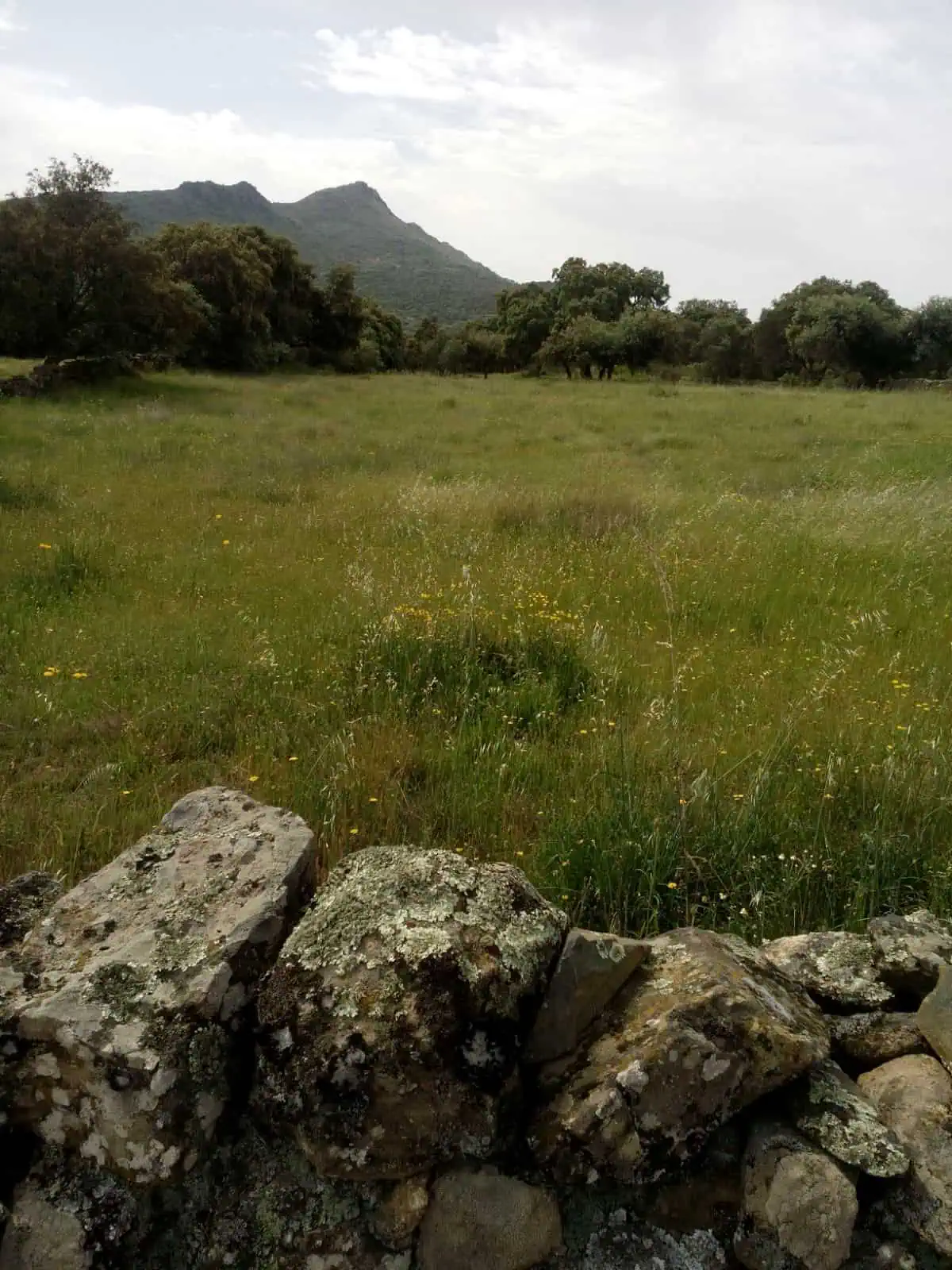 Vista ladera de la sierra de Santa Cruz