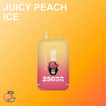 Bang King 25000 Züge Einweg-Vape – Bild 5