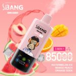 Bang Leader 85000 Züge Einweg-Vape - immagine 3