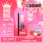 Bang Blaze 40000 Züge Einweg-Vape – Bild 9