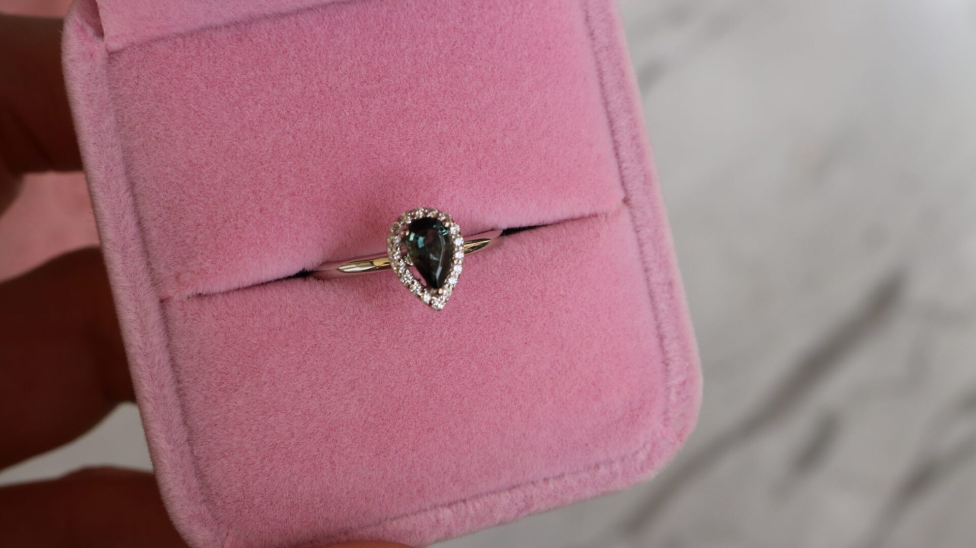 ⁦Blue Pear⁩ – תמונה ⁦4⁩