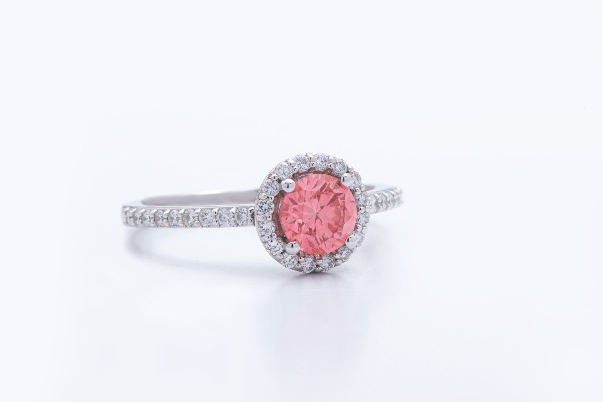 ⁦HEIDI⁩ – תמונה ⁦3⁩