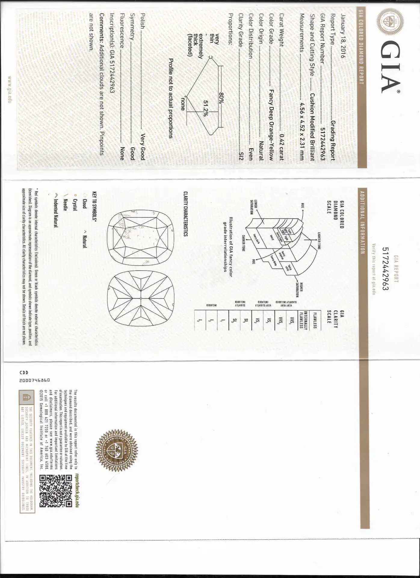 ⁦SOFT SUN⁩ – תמונה ⁦5⁩