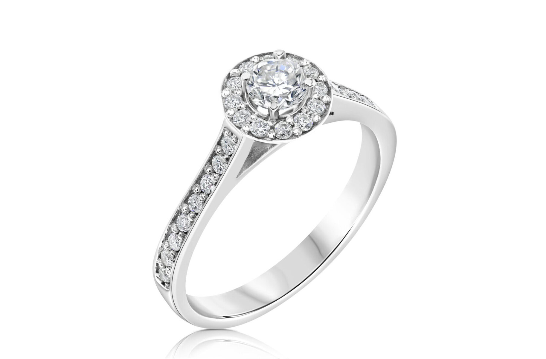 ⁦HALO U⁩ – תמונה ⁦4⁩