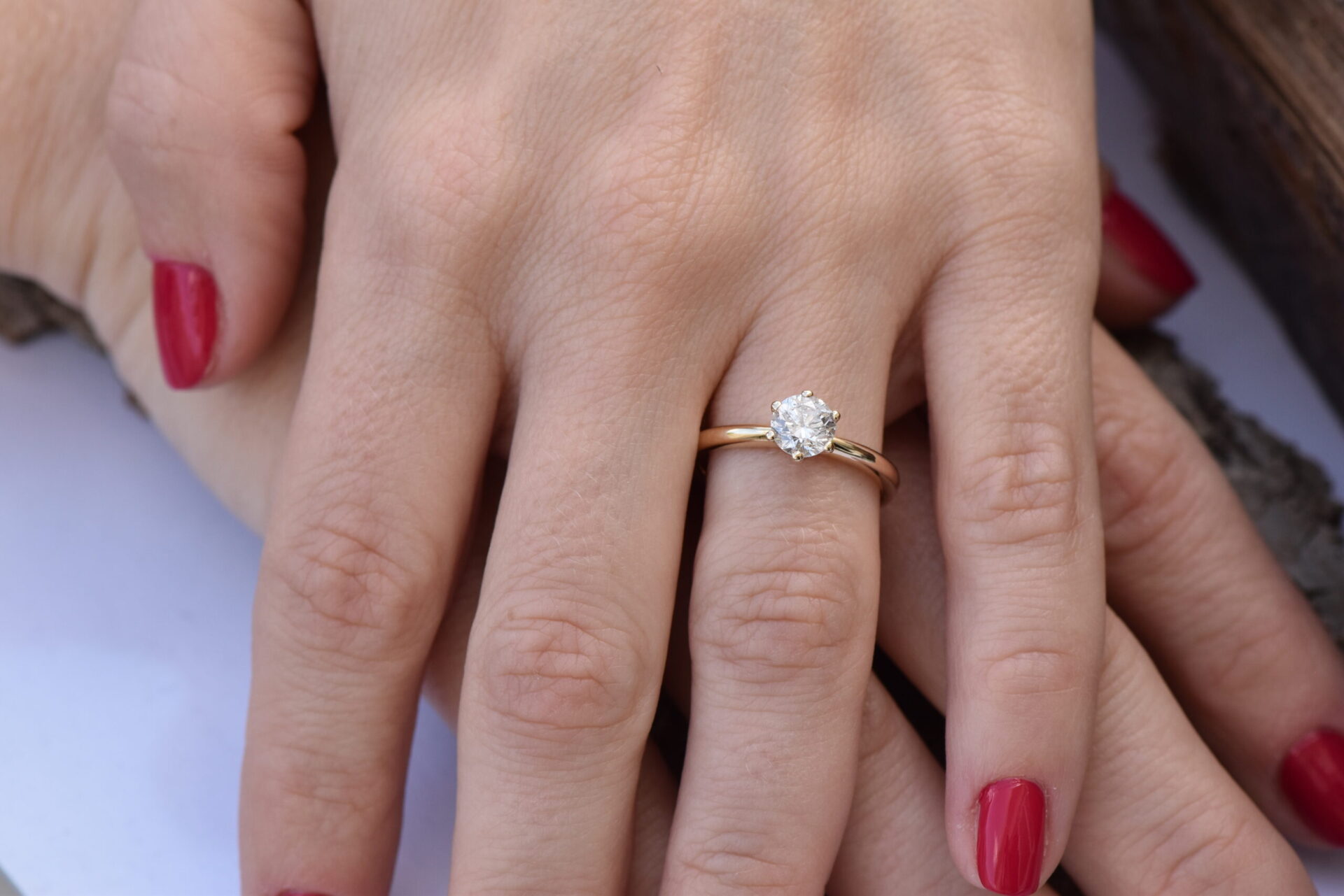 ⁦STELLA⁩ – תמונה ⁦7⁩