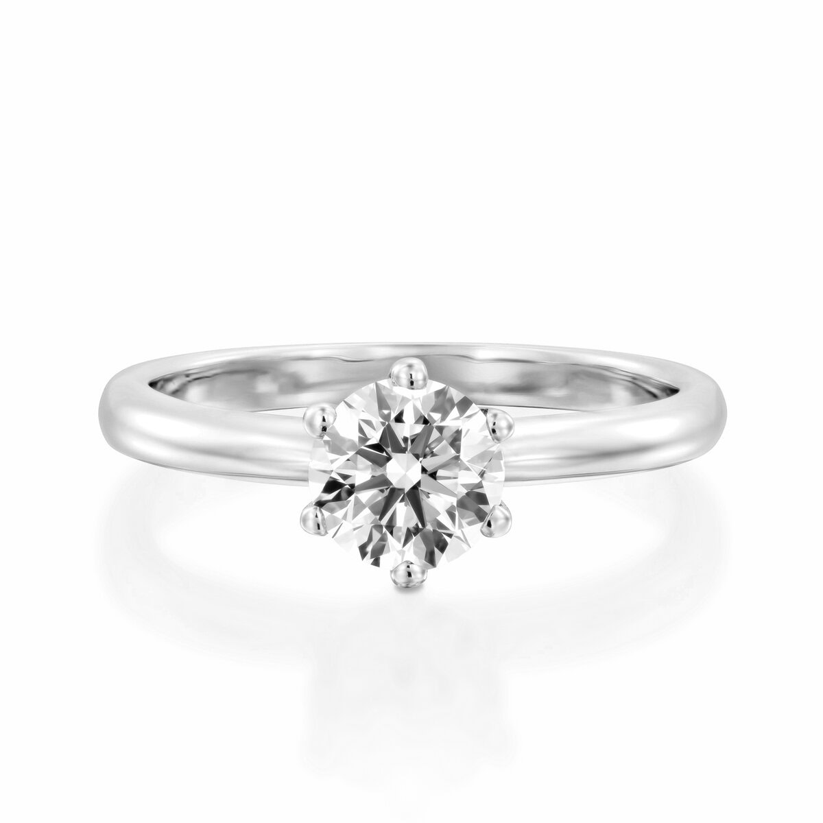 ⁦STELLA⁩ – תמונה ⁦4⁩