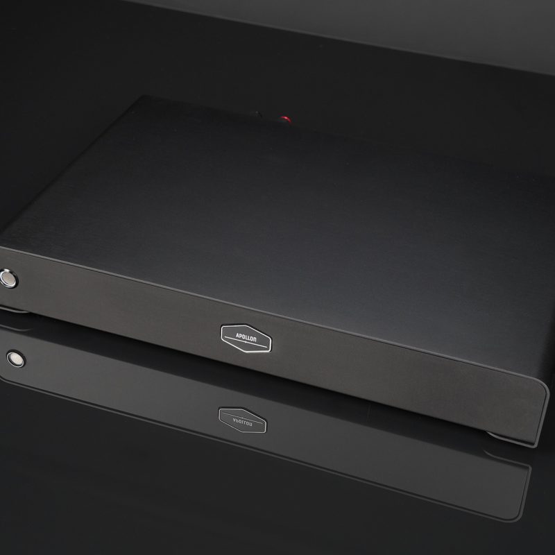 Apollon NC2K SLM Hypex Monoblock Amplifier