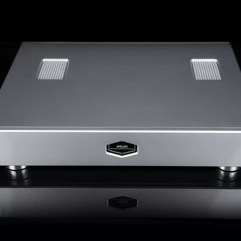 Purifi 1ET400A DM Lux Dual Mono Amplifier
