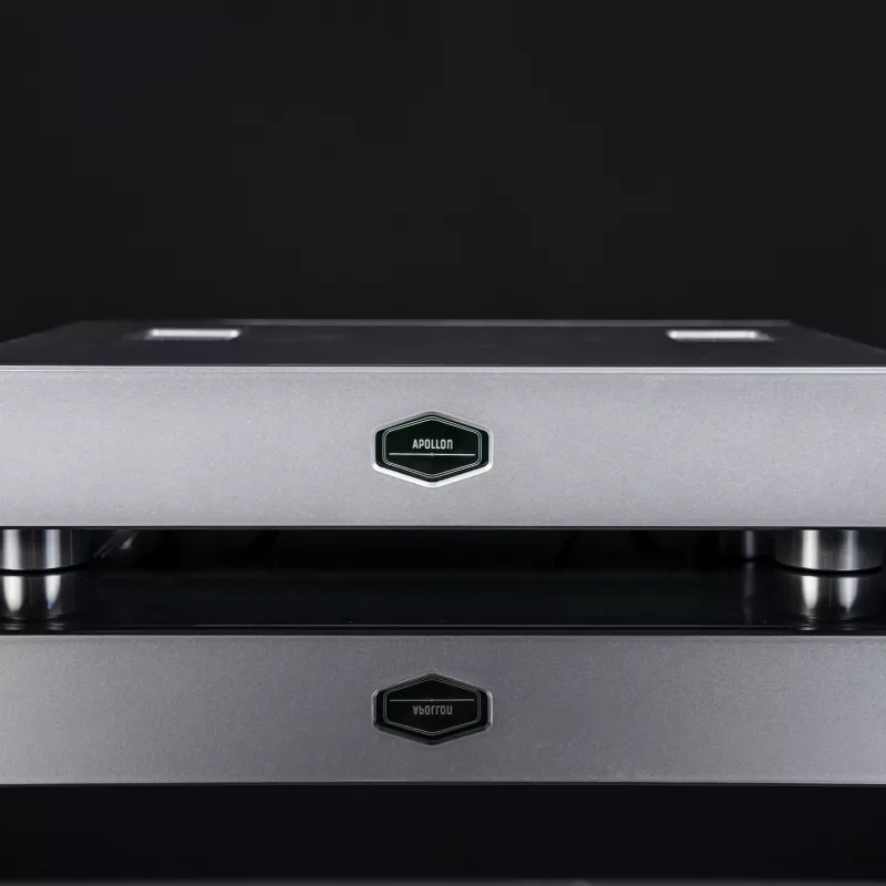 Purifi 1ET7040SA DM Lux Dual Mono Amplifier