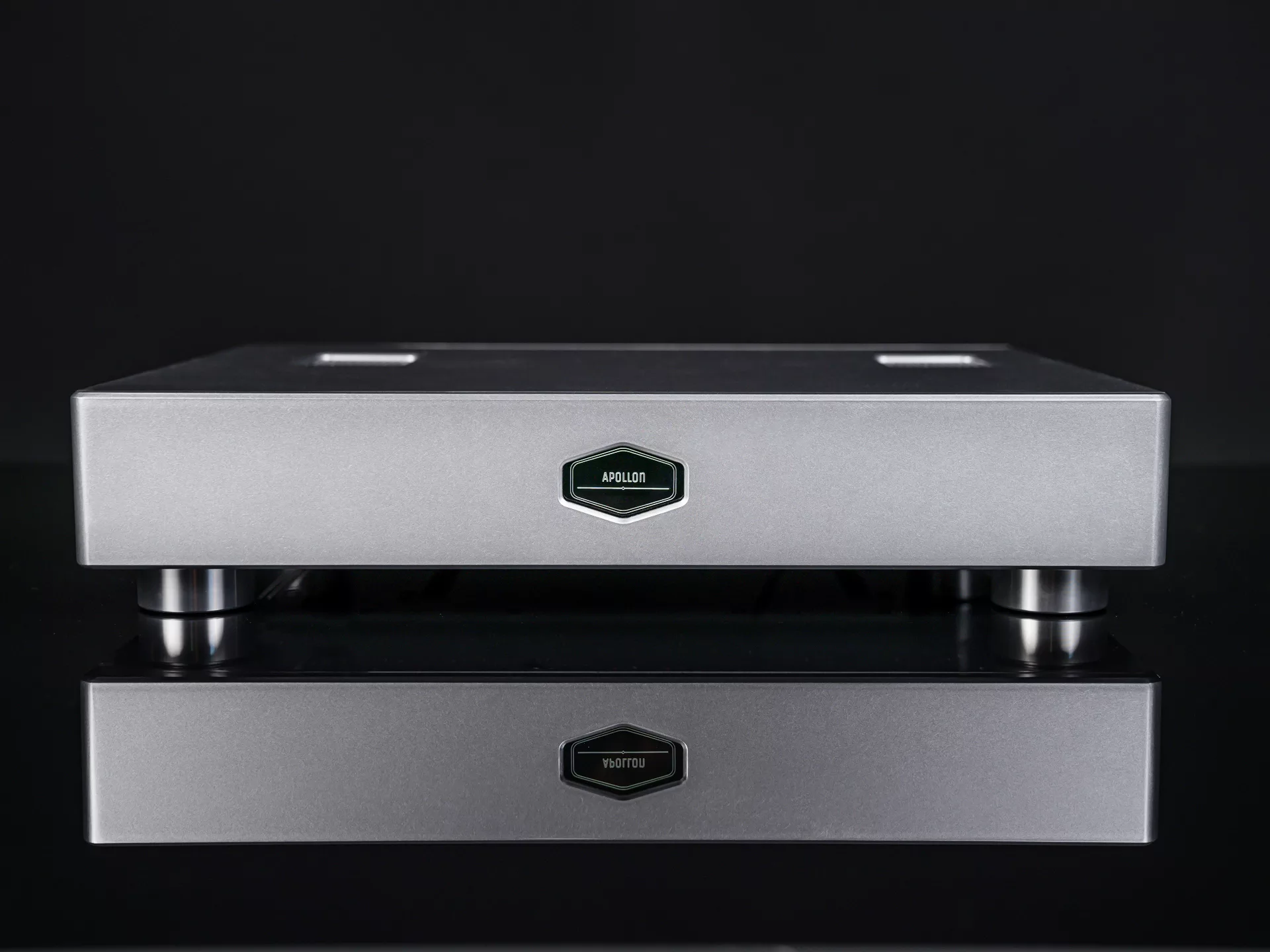 Purifi 1ET7040SA DM Lux Dual Mono Amplifier